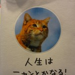 DSC05419