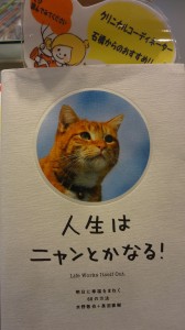 DSC05419