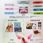 IMG_3481 IMG_3481