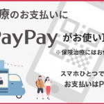 paypayバナー