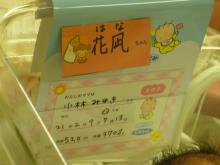 安部歯科医院のブログ