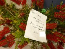 安部歯科医院のブログ
