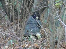安部歯科医院のブログ