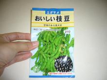 安部歯科医院のブログ