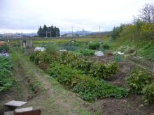東大阪の歯科医院　安部歯科医院ｂｌｏｇ