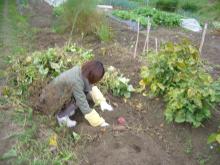 東大阪の歯科医院　安部歯科医院ｂｌｏｇ