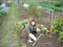 東大阪の歯科医院　安部歯科医院ｂｌｏｇ