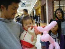 東大阪の歯科医院 安部歯科医院blog