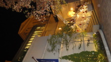 東大阪の歯科医院　安部歯科医院ｂｌｏｇ