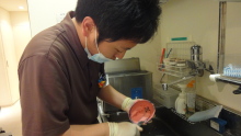 東大阪の歯科医院 安部歯科医院blog