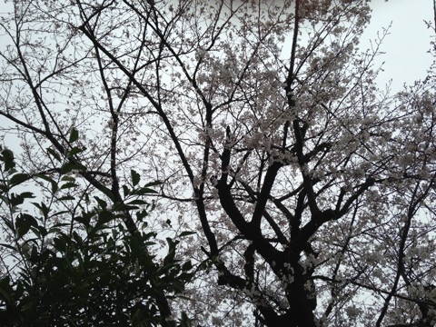 photo:02