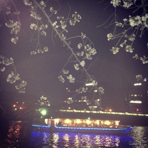 photo:01