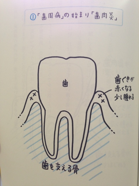 photo:01