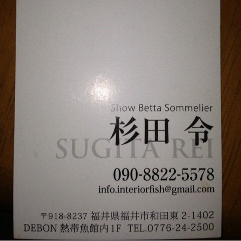 {DE9CD243-3304-4CA9-9F1F-E1BFD2D6E090:01}