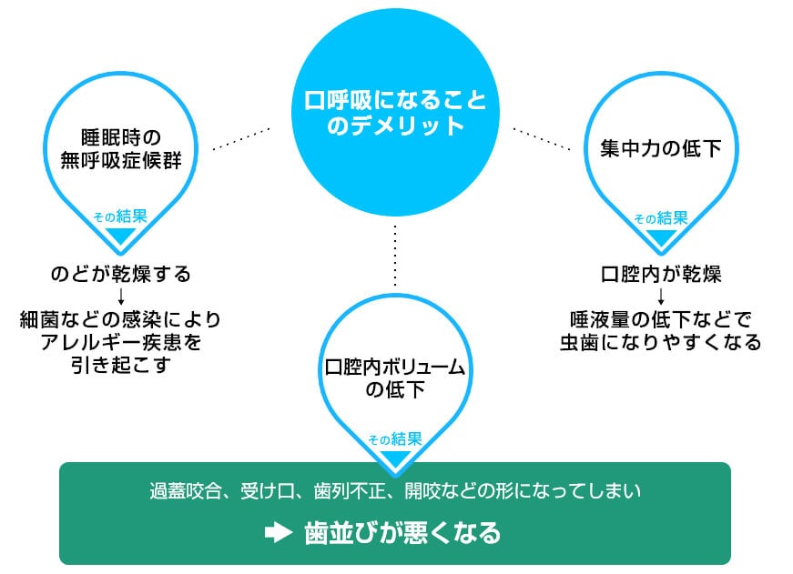 口呼吸→口呼吸のデメリット→のどが乾燥する→口腔が乾燥する→姿勢が悪くなる→歯並びが悪くなる
