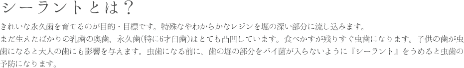シーラントとは
